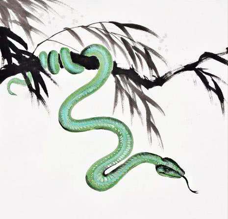 近期属蛇的感情运势，是红鸾星动还是情路坎坷？