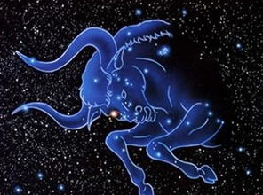 土象星座有哪些? 土象星座有哪些?