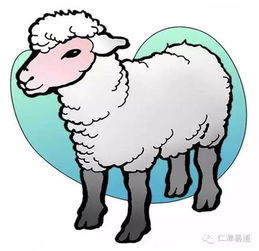 虎年羊羊情运揭秘
