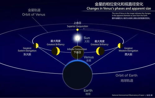 金星月亮星座解析指南