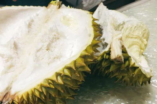 虎宝宝取名榴莲佳选