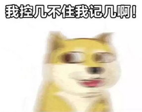 狮子狗今日运势揭秘