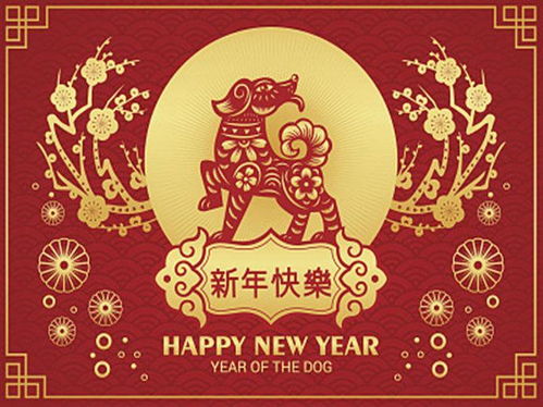 生肖运势今日头条速览