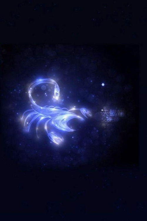 狮子复合2022，爱火重燃