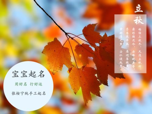 王姓男宝宝取名秘诀