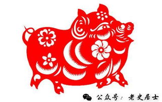 属猪双子女，情场如风，运势多变