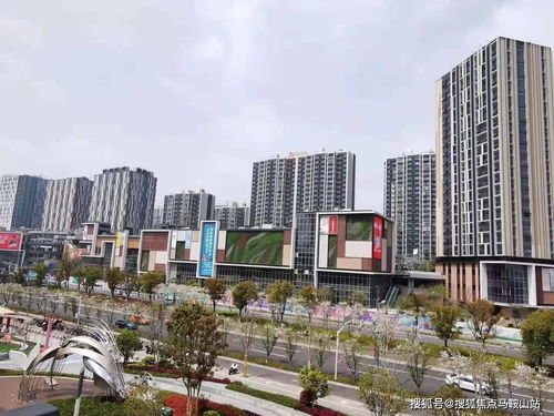 厦门旅游攻略虎哥视频大揭秘