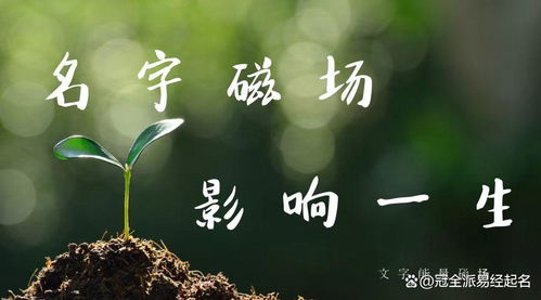 龙宝宝马姓巧取名