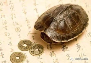 生辰八字合婚详析