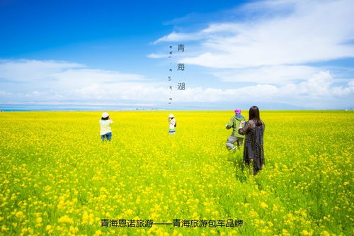 青海湖一日游攻略图鉴