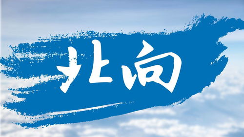 拥抱今日运势，活力满满前行