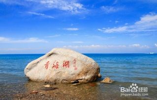 青海湖一日游攻略速览