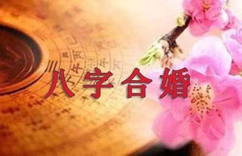 八字合婚却难携手
