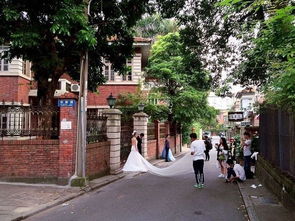 厦门少走路旅游攻略图