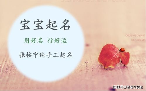 许姓兔宝宝名字精选