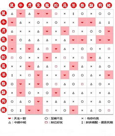 八字匹配，合婚看谁更佳？