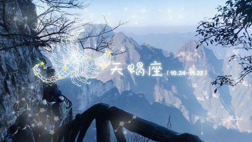 双子男心系夜思的星座佳人
