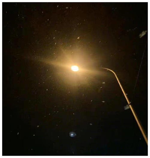 摩羯深情，爱如恒星