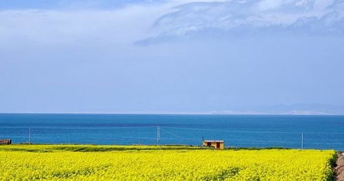 青海湖两日游攻略图鉴 青海湖两日游攻略图鉴