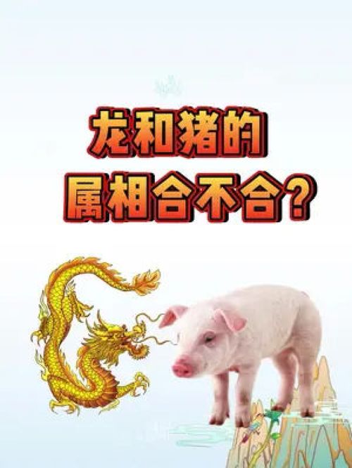 老虎猪婚配，八字相合揭秘