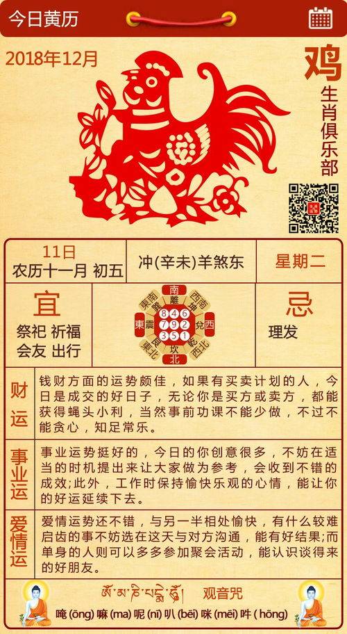 1981鸡年男今日运势详解