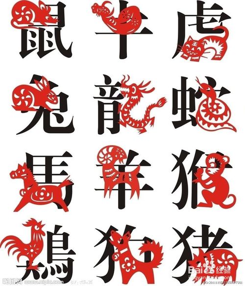 吴姓龙宝宝取名巧法