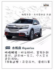 水瓶座的驾驶之选