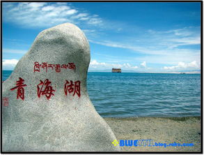 青海湖一日游攻略 青海湖一日游攻略