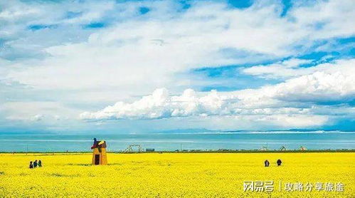 十月二日青海游攻略