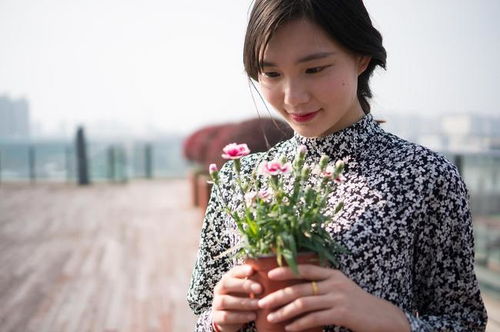 双子单身女性，感情运势新篇