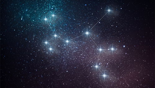 十二星座优秀排行榜