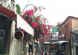 厦门国际青旅路线指南 厦门国际青旅路线指南