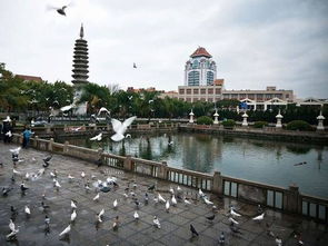 合阳厦门旅游攻略，必游好去处！