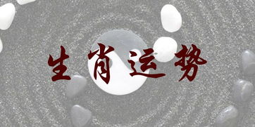 今日运势生肖排行速查