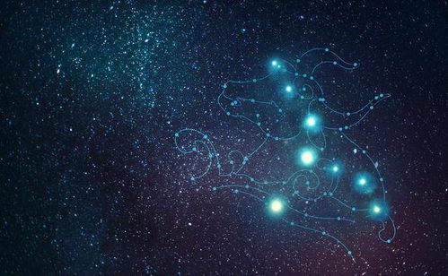 星辰之巅，美不胜收的星座
