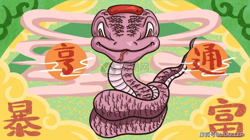属蛇2月情运揭秘