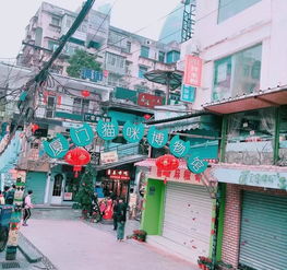 新乡游厦门味