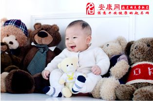 虎宝宝舒字取名攻略