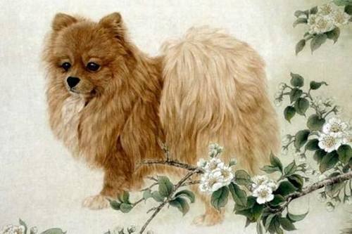 70年狗年运势揭秘