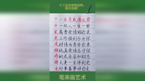 十二生肖感情运势揭秘