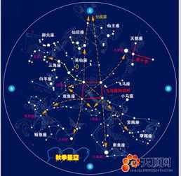 11月23日星座揭秘，上升星座大揭秘