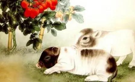 水墨先生猪日运势揭秘