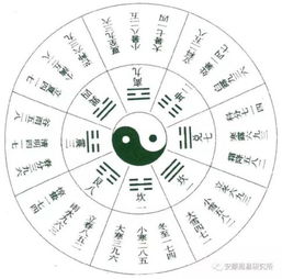 八字合婚日柱年柱相合奥秘