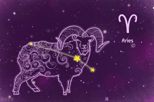 2021年12星座12月运势揭秘