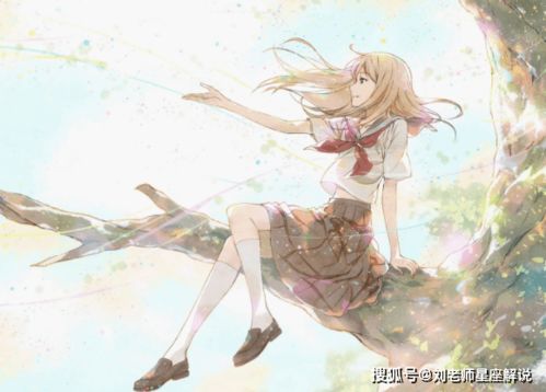 狮子天秤情缘绽放