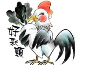 鸡牛配婚八字相合揭秘