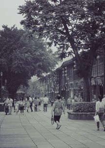 帛琉厦门双城记
