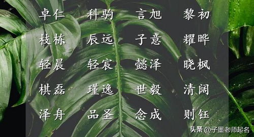 沙雨男孩名，诗意盎然的选择