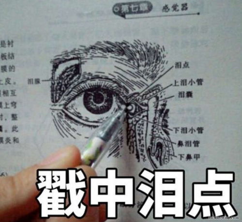医影推荐，学医者的心灵之镜