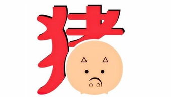 属猪5月爱情运势解析